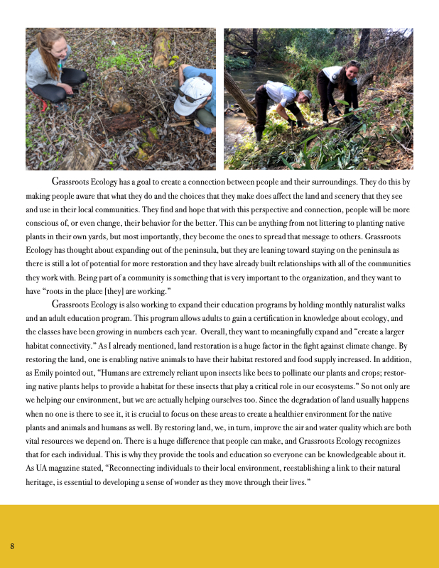 Article by Haley Grant